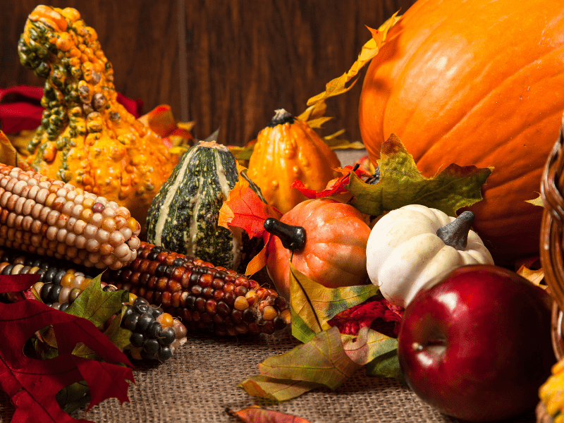 Ankara’da Mevsimsel Menü ile Catering Hizmeti: Sağlıklı ve Ekonomik Çözüm