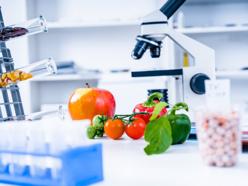 Teknoloji ve Sürdürülebilirliğin Buluştuğu Pop-Up Catering Deneyimi 2025